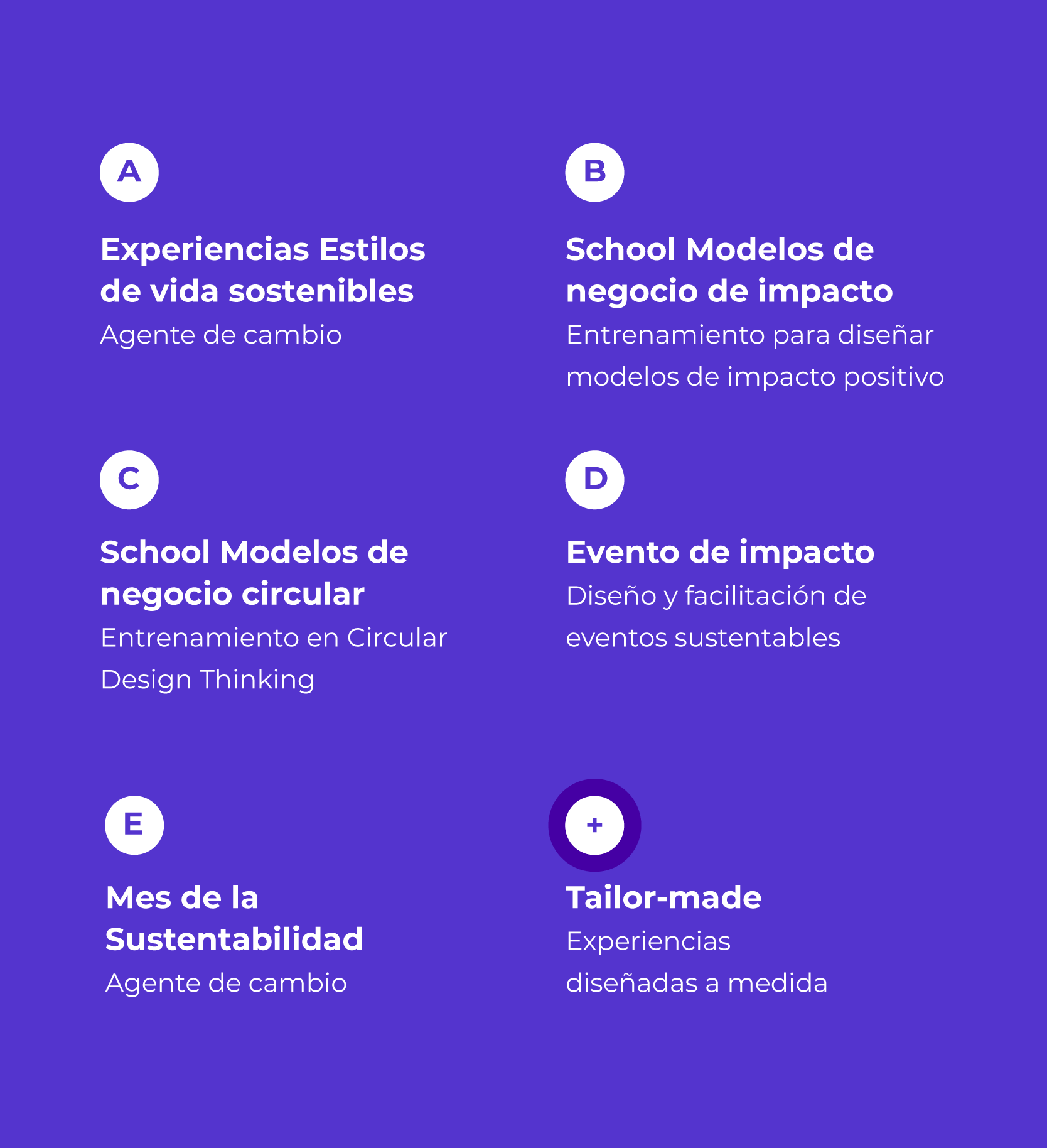 Experiencia-nuevo-05